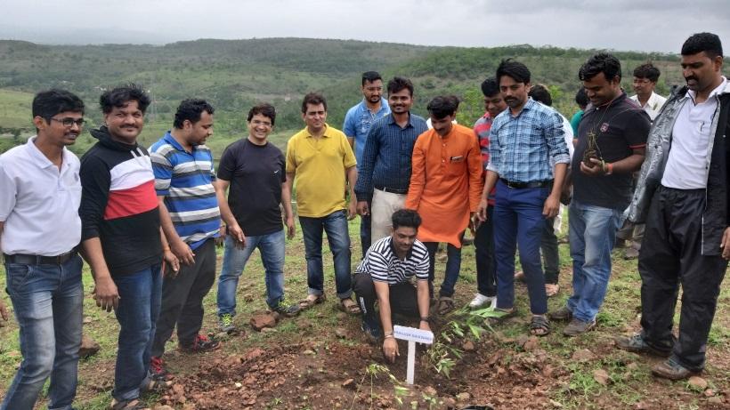Tree plantation drive